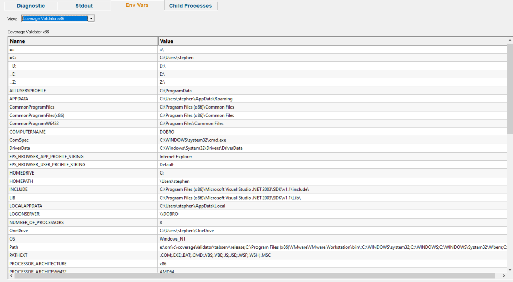 Validator environment variables sub-tab on the diagnostic tab