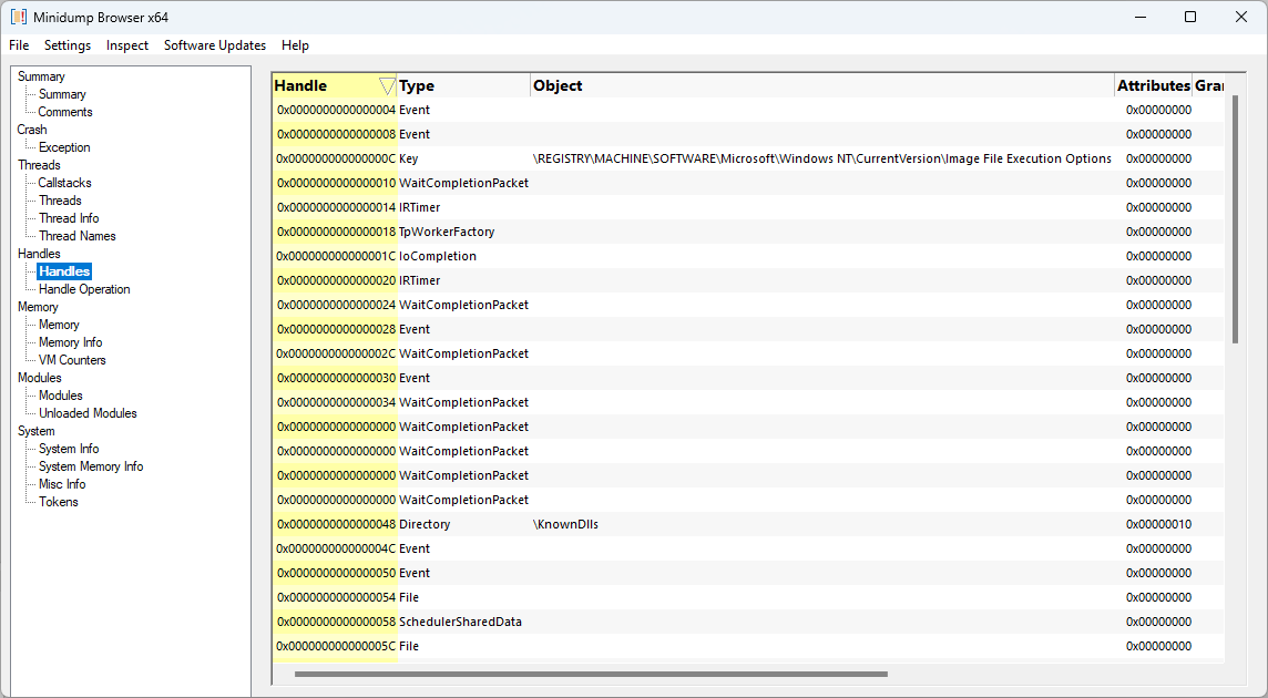 Minidump Browser handles view
