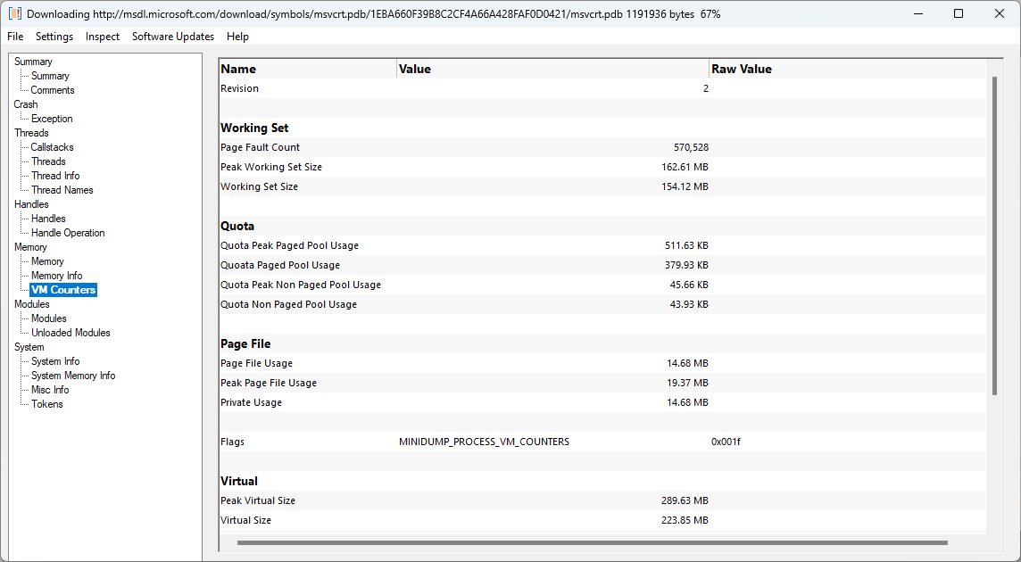 Minidump Browser VM counters view
