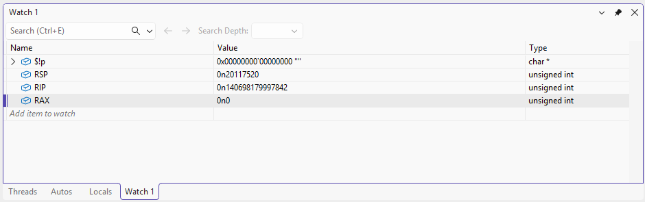 Visual Studio Watch view